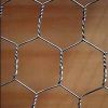 Sell Hexagonal Wire Netting