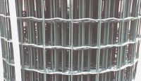 Sell Welded Wire Mesh