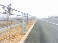 Sell Roadway Steel Wire Fence