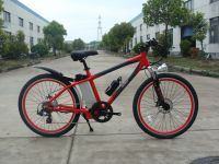 Sell electric mountain bike/JB-TDE03Z