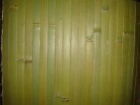 Sell bamboo wallpaper003