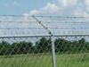 Sell Barbed Wire Fencing