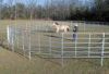 Sell Horse Fencing