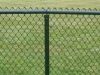 Sell PVC-coated Chain Link fence