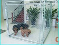 Sell chain link dog kennel