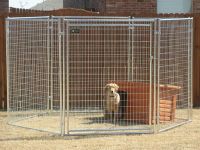 Sell outdoor dog kennel