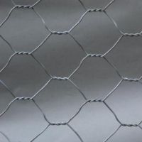 Sell chicken wire netting