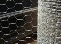 Sell stainless steel chicken mesh