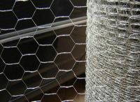 Sell 201 /304 Stainless steel chicken mesh