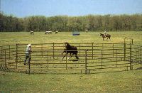 Sell corral panels