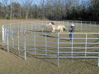 Sell horse yards fence
