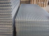 Sell welded wire netting fabric