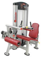 selling seated leg curl gym equipment