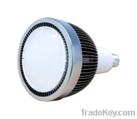 LED PAR38  LAMP / spotlight