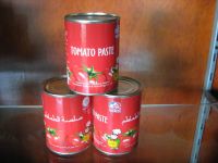 canned  tomato paste