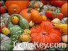 Sell Pumpkin Seed Oil