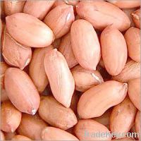 Sell Shelled Groundnuts (Peanuts)