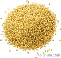 Sell Yellow Millet