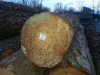 Southern Yellow Pine Logs