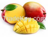 Sell Fresh Mango