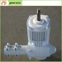 wind generator motor 300w