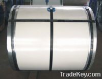 Sell White Grey Prepainted Steel Coil