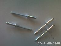 Sell rivet screw