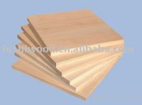 Sell all poplar plywood