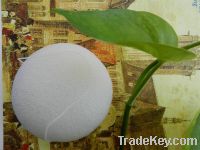 Konjac sponge