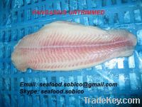 Sell frozen pangasius/basa/ cream dory fillet