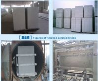 Sell Aerated Autoclaved Concrete(AAC) Blocks Machine