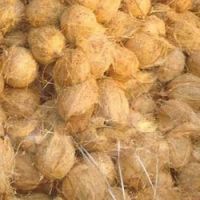 Sell Fresh matured coconut