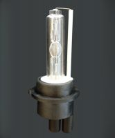 HID Xenon Lamp H6