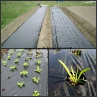 pp spunbonded nonwoven fabric for weed control, seed cover