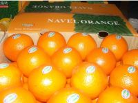 Sell cara cara navel oranges