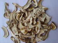 Sell dried white porcino mushroom