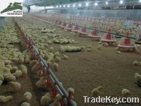 Sell poultry farm equipment