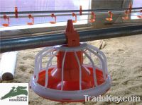 Sell Poultry feeder pan