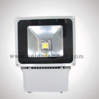 Sell LED High Power Flood Light 100W