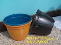 Selling eco-friendly flower pot