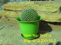 Selling Biodegradable flower pots SHY-4