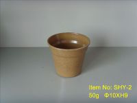 Selling Biodegradable flower pots  (SHY-2)