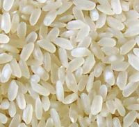 We sell Egyption Rice with all kinds