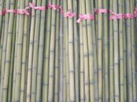 Sell bamboo poles