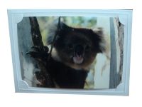 Sell paper photo frame