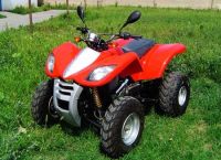 Sell  ATV 250cc New Monster