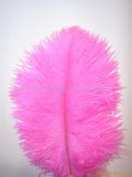 Sell  ostrich feathers