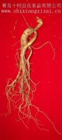 Sell healthy food ginseng