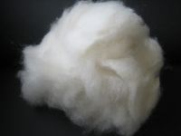 Sell cashmere fiber