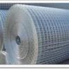 Sell weld wire  mesh